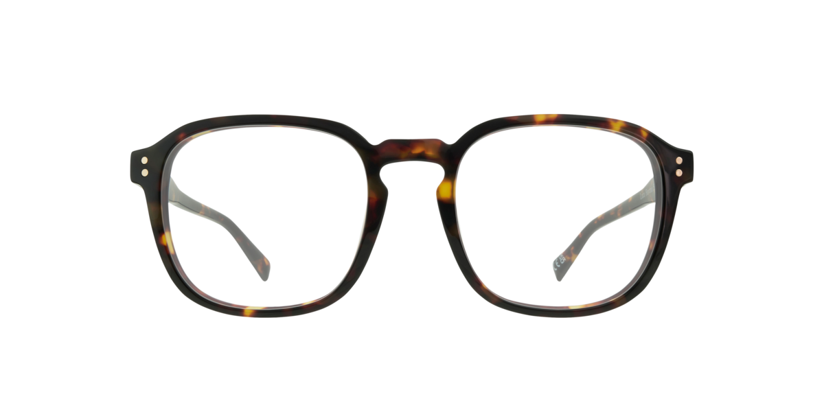 Scout Men's Havana Square Acetate Eyeglasses Online - Full Rim - Luca