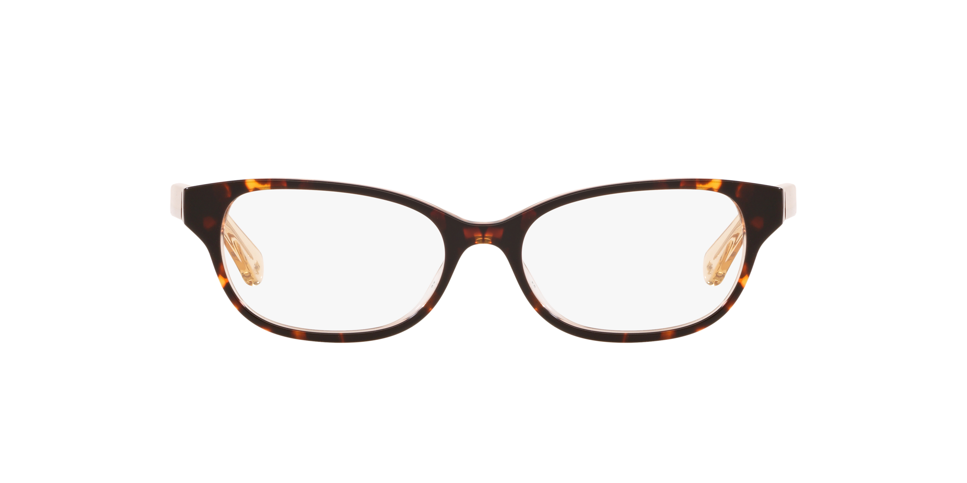 Rainey_ Tortoise AcetateEyeglass Frames for Glasses Direct, Front View