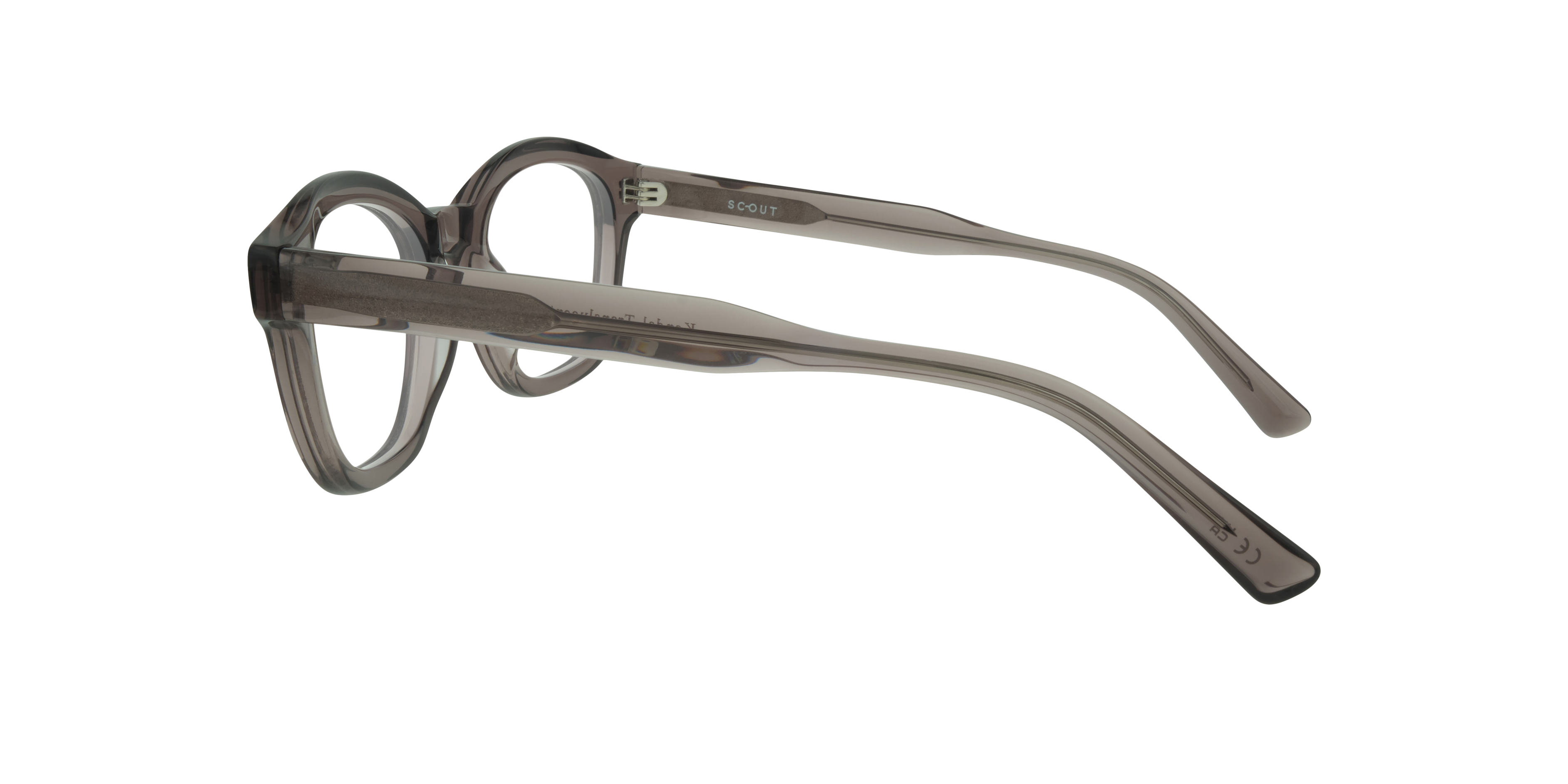 Kendal Translucent Brown AcetateEyeglass Frames for Glasses Direct, Side View