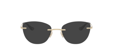 Shiny Light Gold HC5185 -  Metal Sunglasses