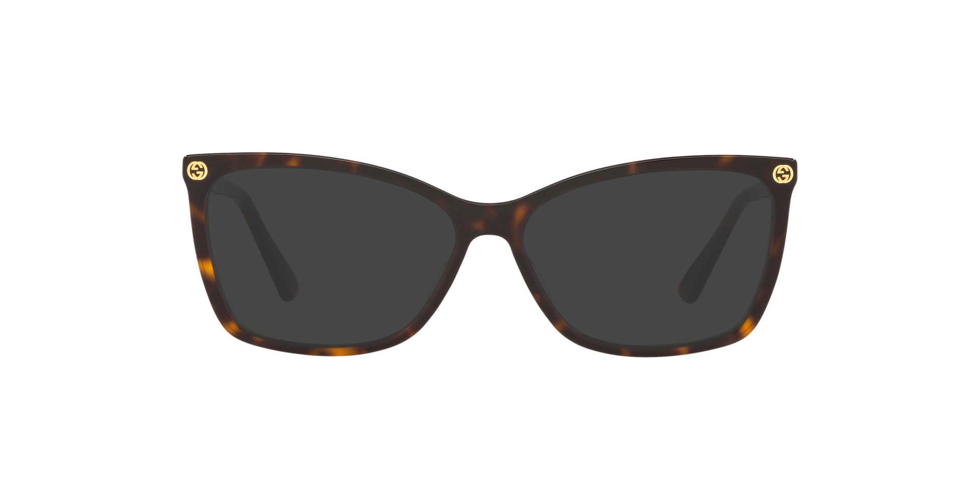 Tortoise GG0025O -  Acetate
