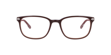 Brown Nb4201 -  Acetate Glasses