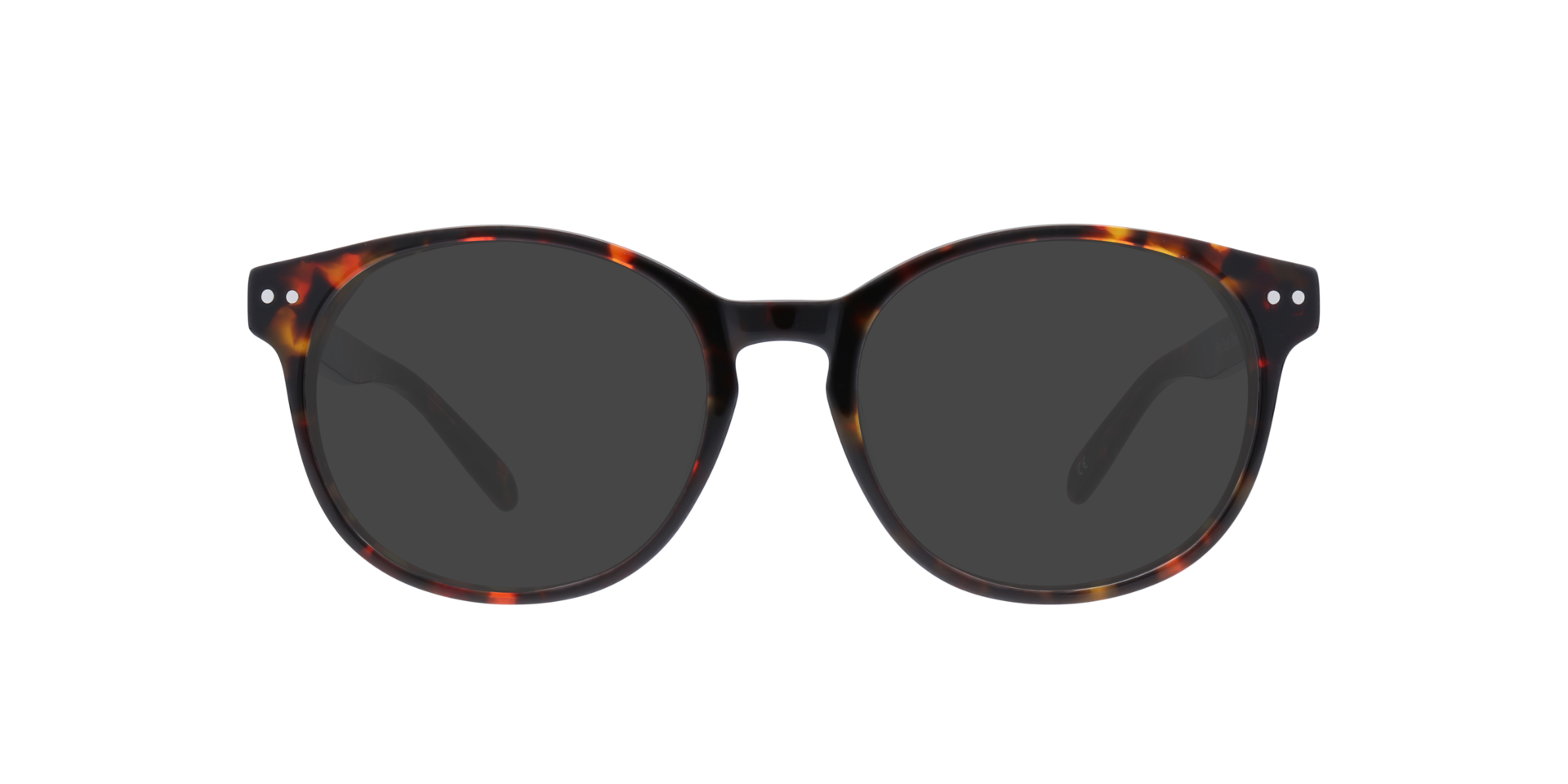 Dark Tortoise East -  Acetate