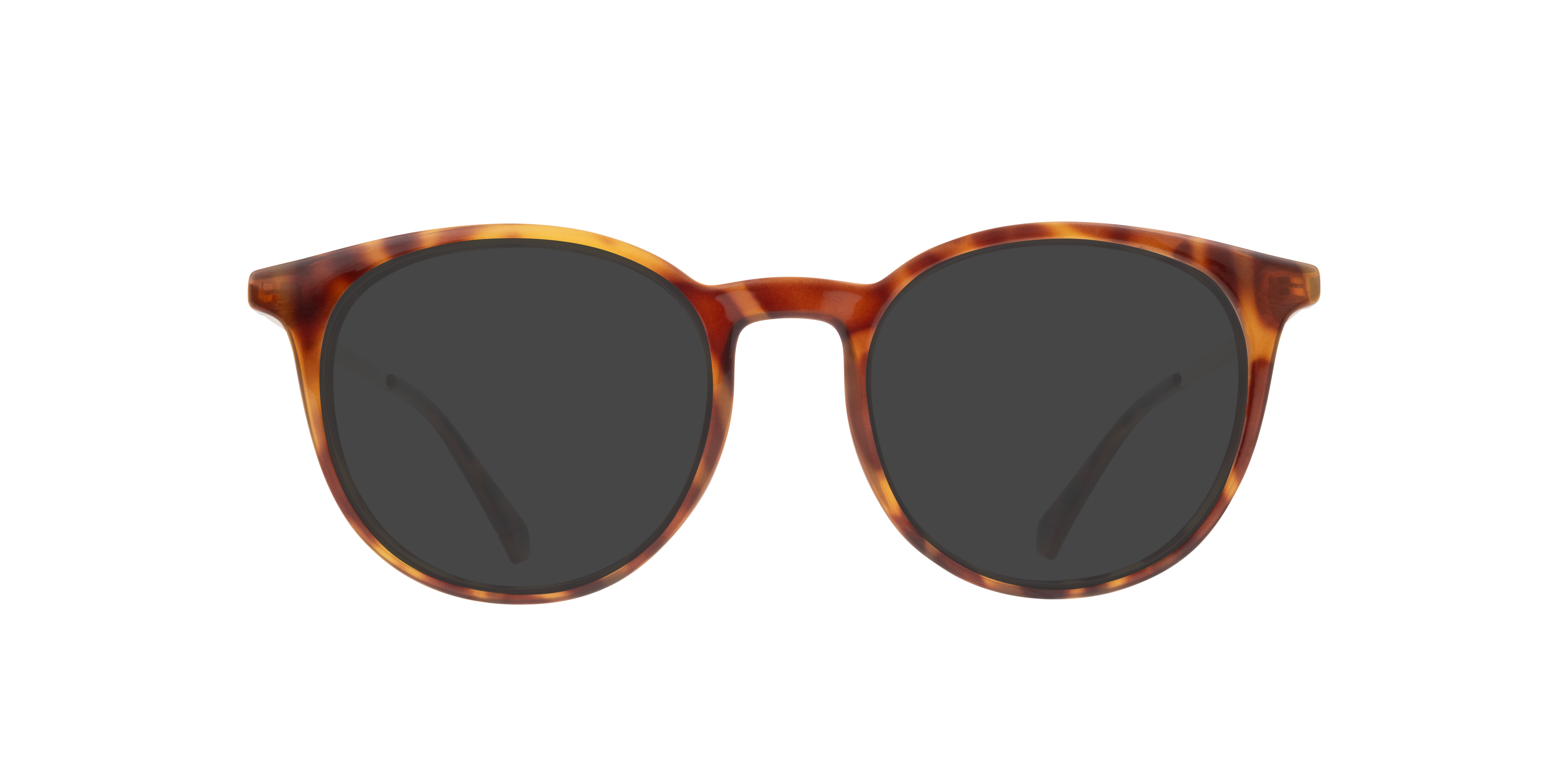 PLD D496 Tortoise Gold PlasticSunglass Frames for Glasses Direct, with Tinted Lenses