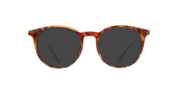 Tortoise Gold PLD D496 -  Plastic Sunglasses
