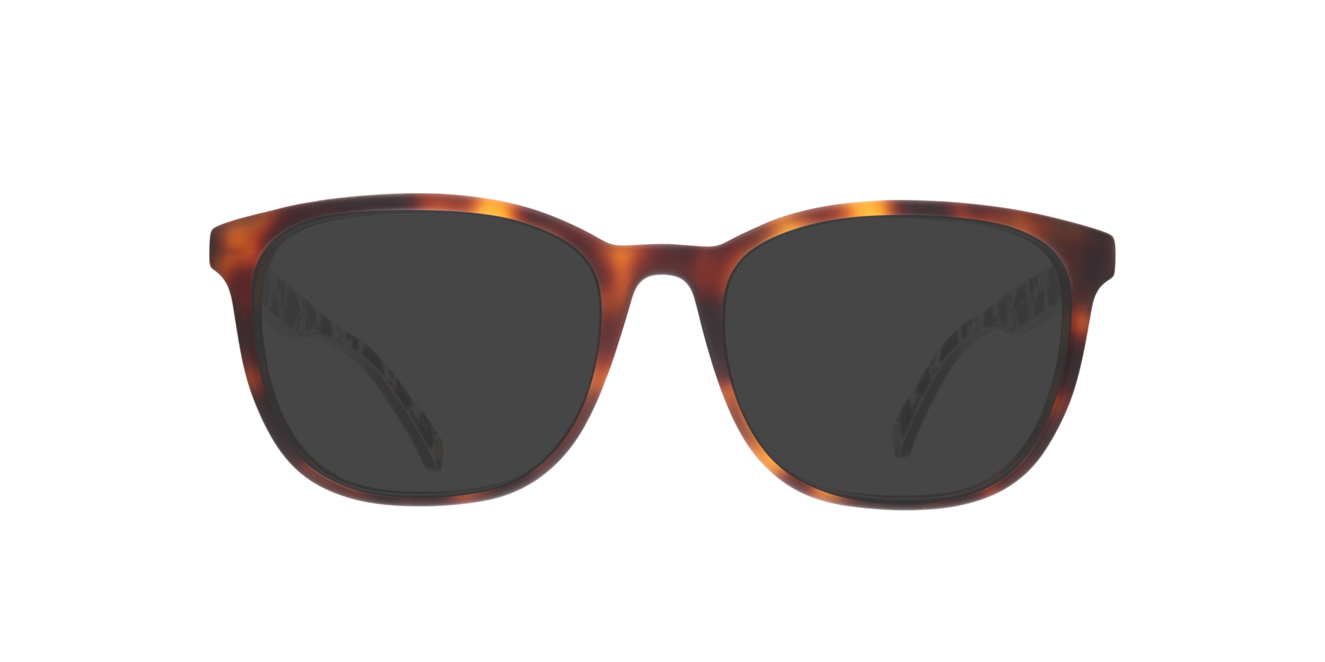 TB8241 Brown AcetateEyeglass Frames for Glasses Direct, with Tinted Lenses