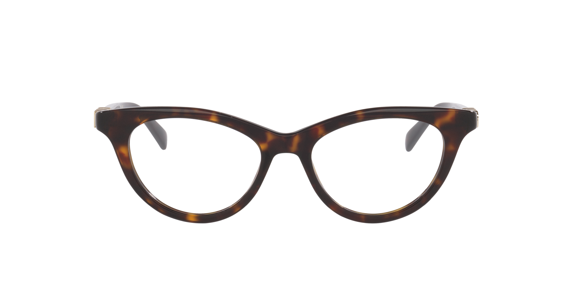 Tortoise Gg2034O -  Acetate