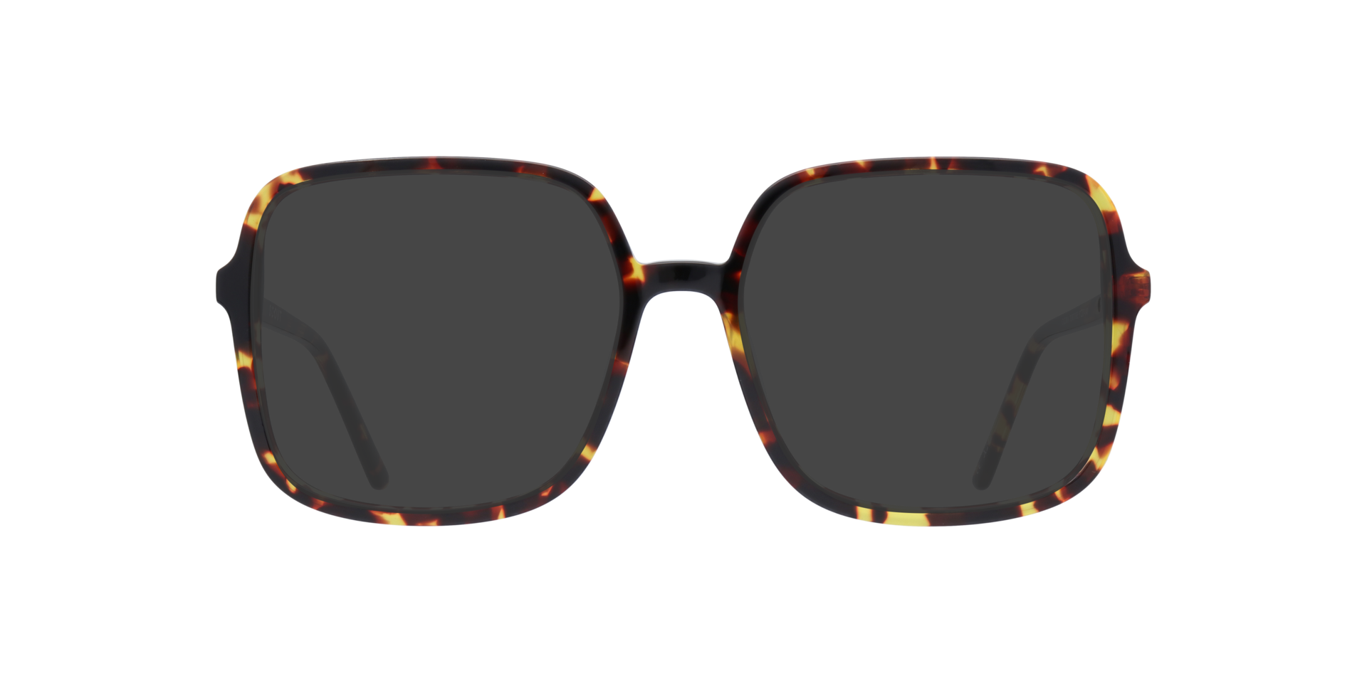 Tortoise Calina -  Acetate