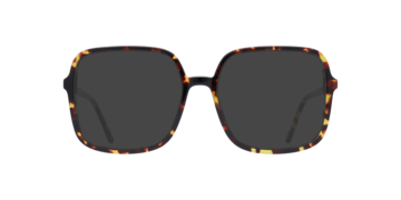 Tortoise Calina -  Acetate Sunglasses