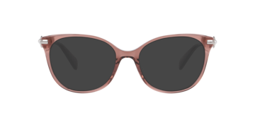 Brown KS DARIELA 2/G -  Acetate Sunglasses