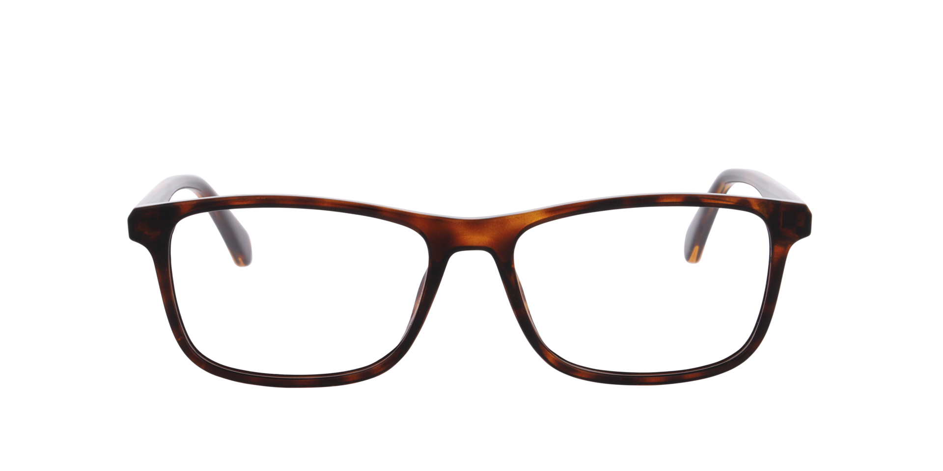PLD D598 Tortoise PlasticEyeglass Frames for Glasses Direct, Front View
