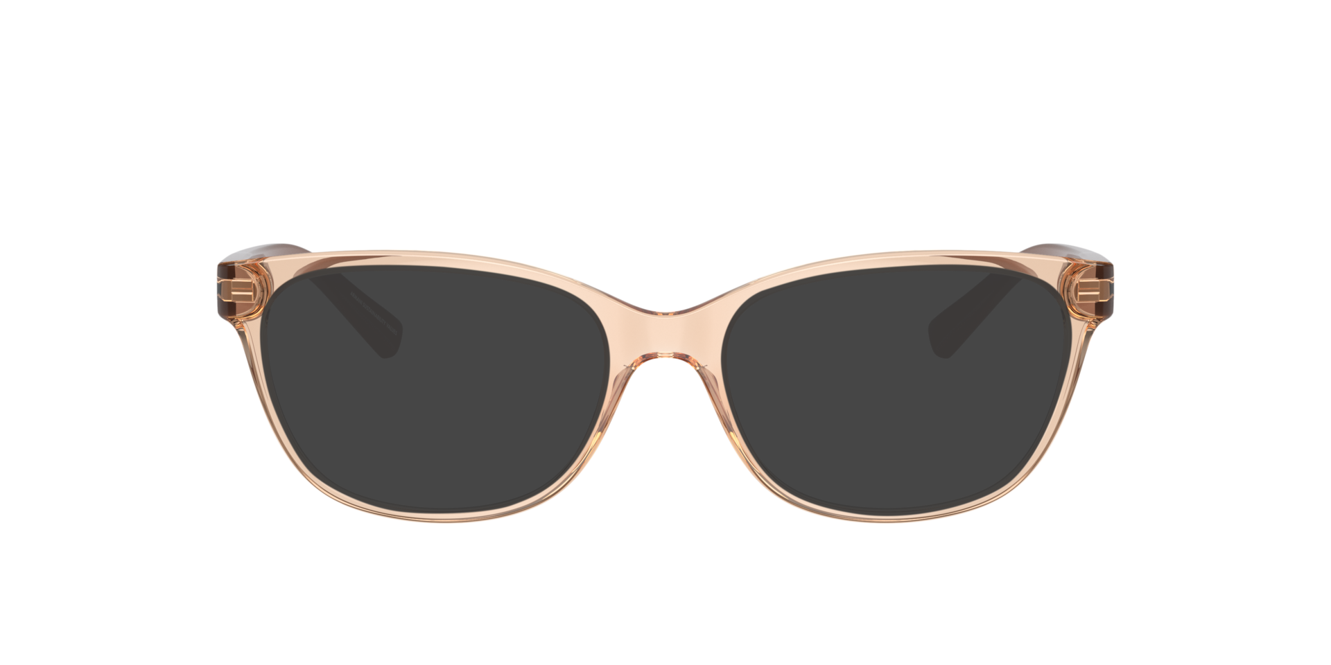 AX3037 Shiny Transparent Tundra PlasticEyeglass Frames for Glasses Direct, with Tinted Lenses