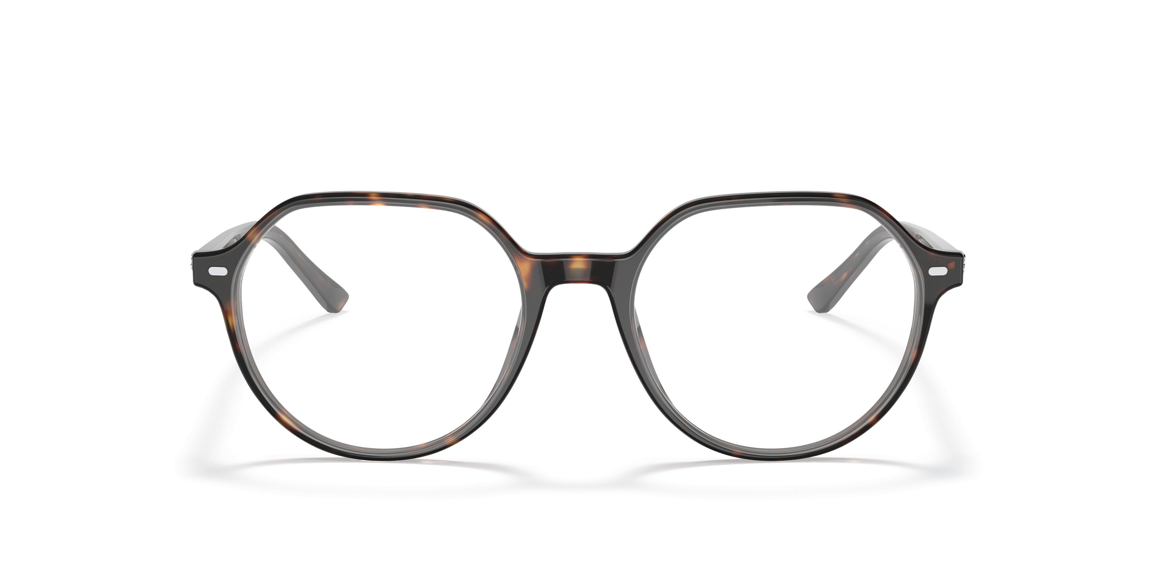 Havana Thalia Optics -  Acetate