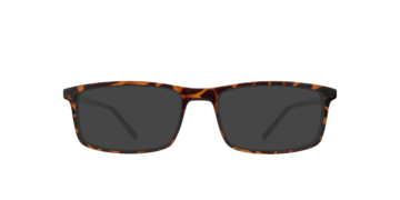 Shiny Havana Jerry -  Plastic Sunglasses