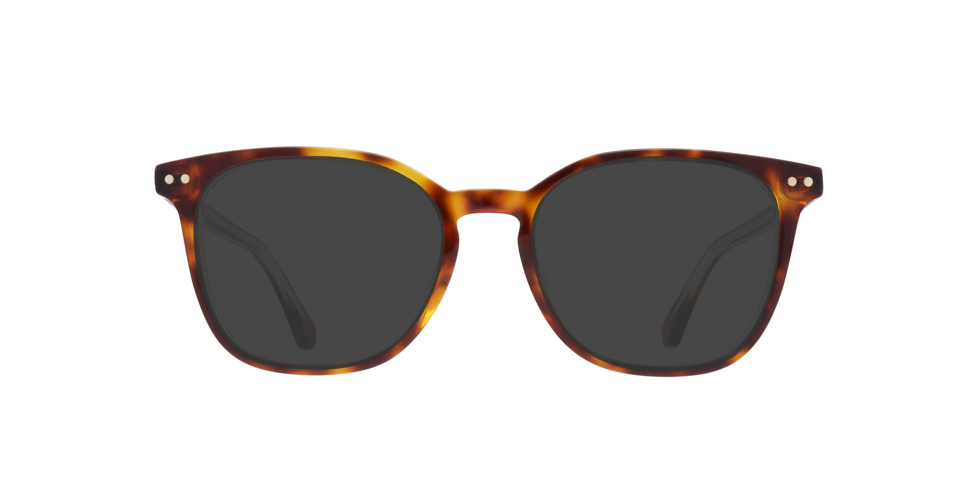 Hermione/G Tortoise AcetateEyeglass Frames for Glasses Direct, with Tinted Lenses