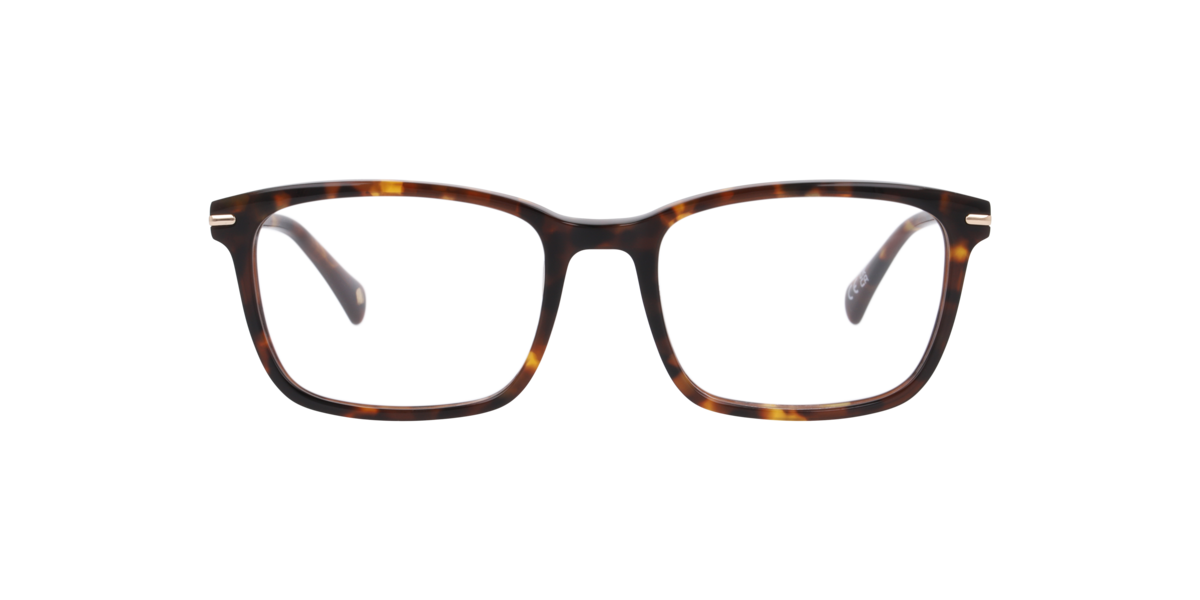 London Retro Women's Havana Brown Rectangle Acetate Eyeglasses Online - Full Rim - Mayfair