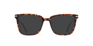 Shiny Havana/Gold Balham -  Acetate Sunglasses