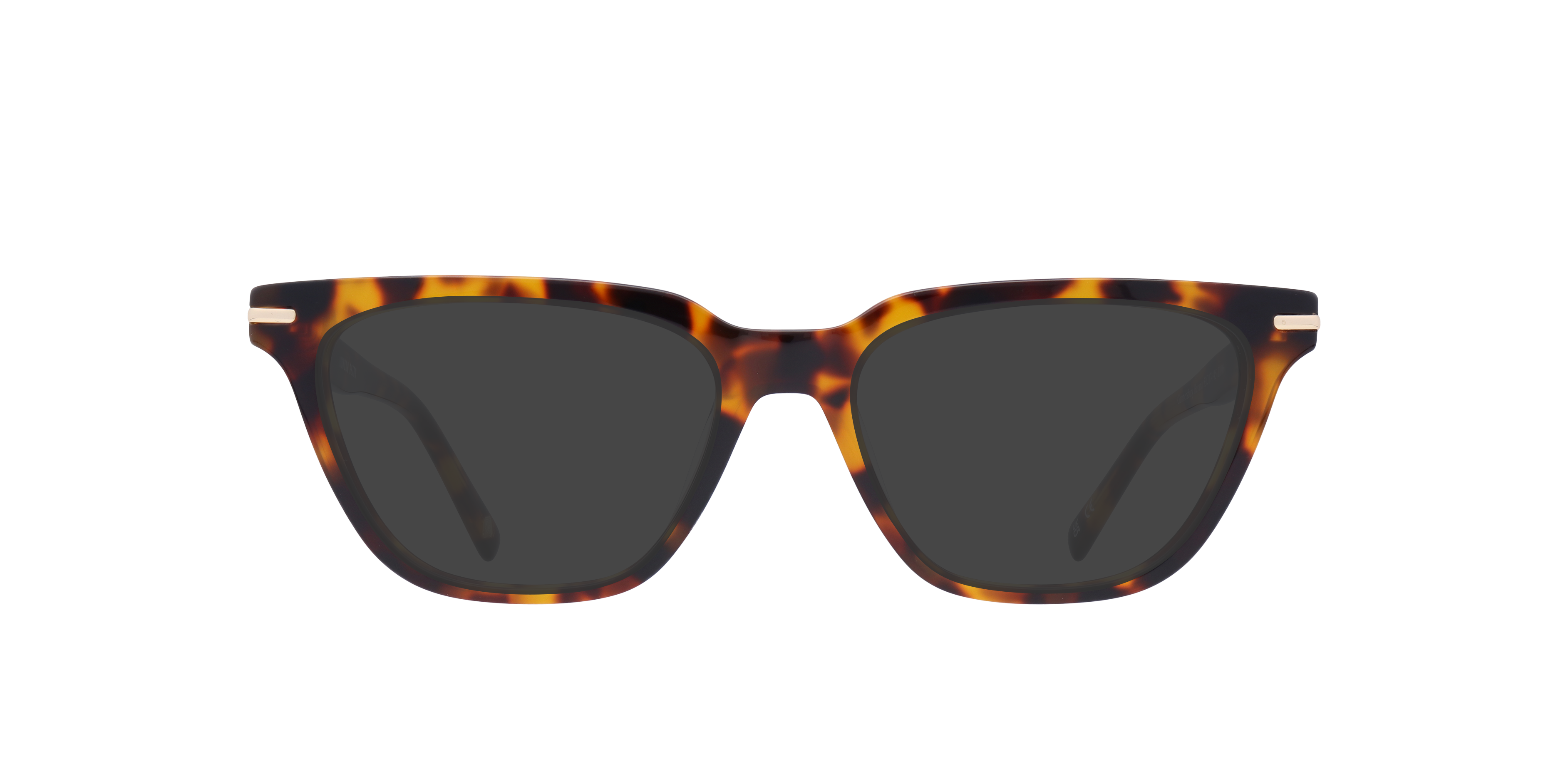 Gunnersbury Havana AcetateEyeglass Frames for Glasses Direct, with Tinted Lenses