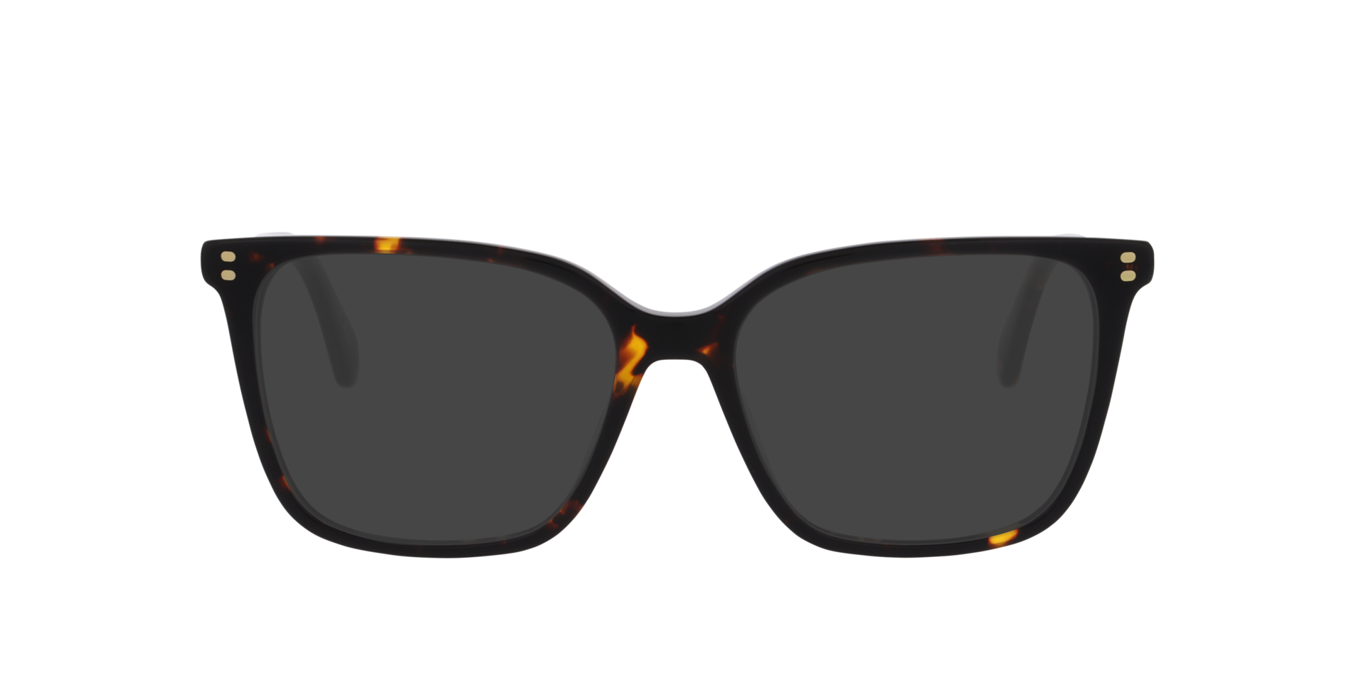 PLD D606 Tortoise AcetateEyeglass Frames for Glasses Direct, with Tinted Lenses