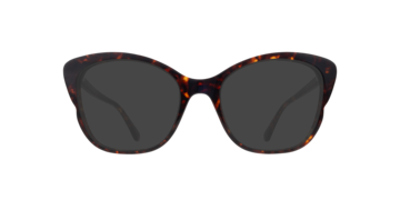 Tortoise Laylani -  Acetate Sunglasses