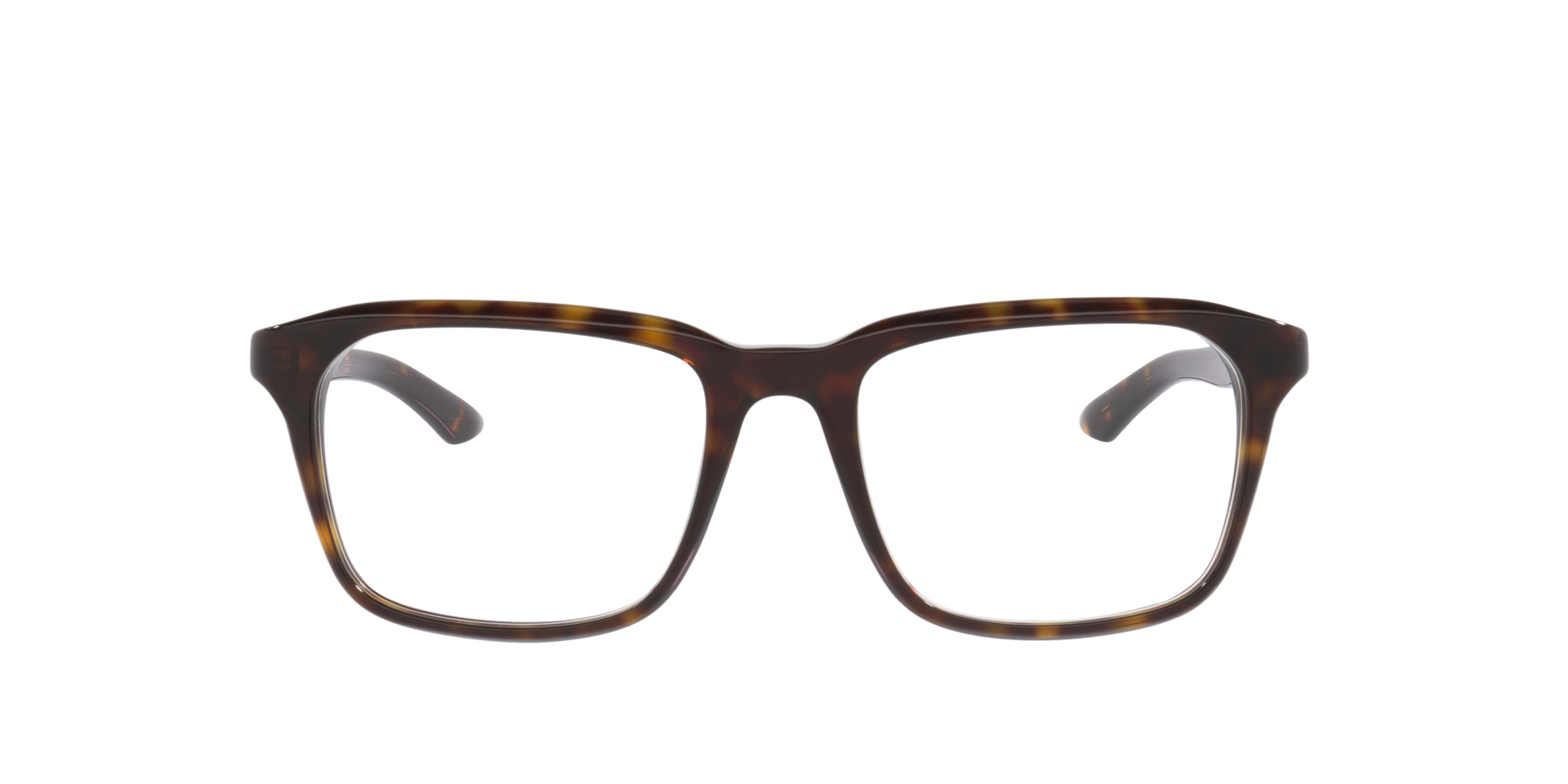 Tortoise Gg2081O -  Acetate
