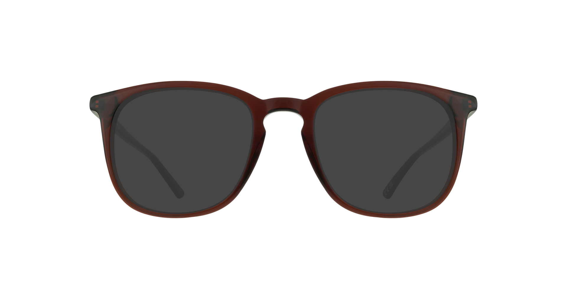 Lawson Shiny Brown AcetateEyeglass Frames for Glasses Direct, with Tinted Lenses