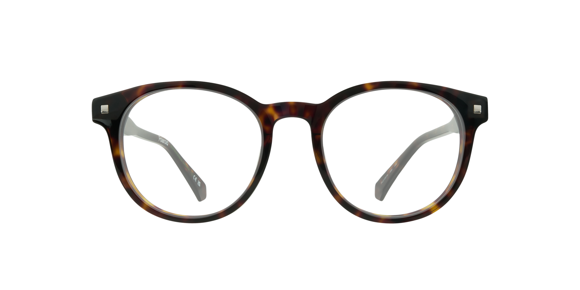 Tortoise PLD D519 -  Acetate