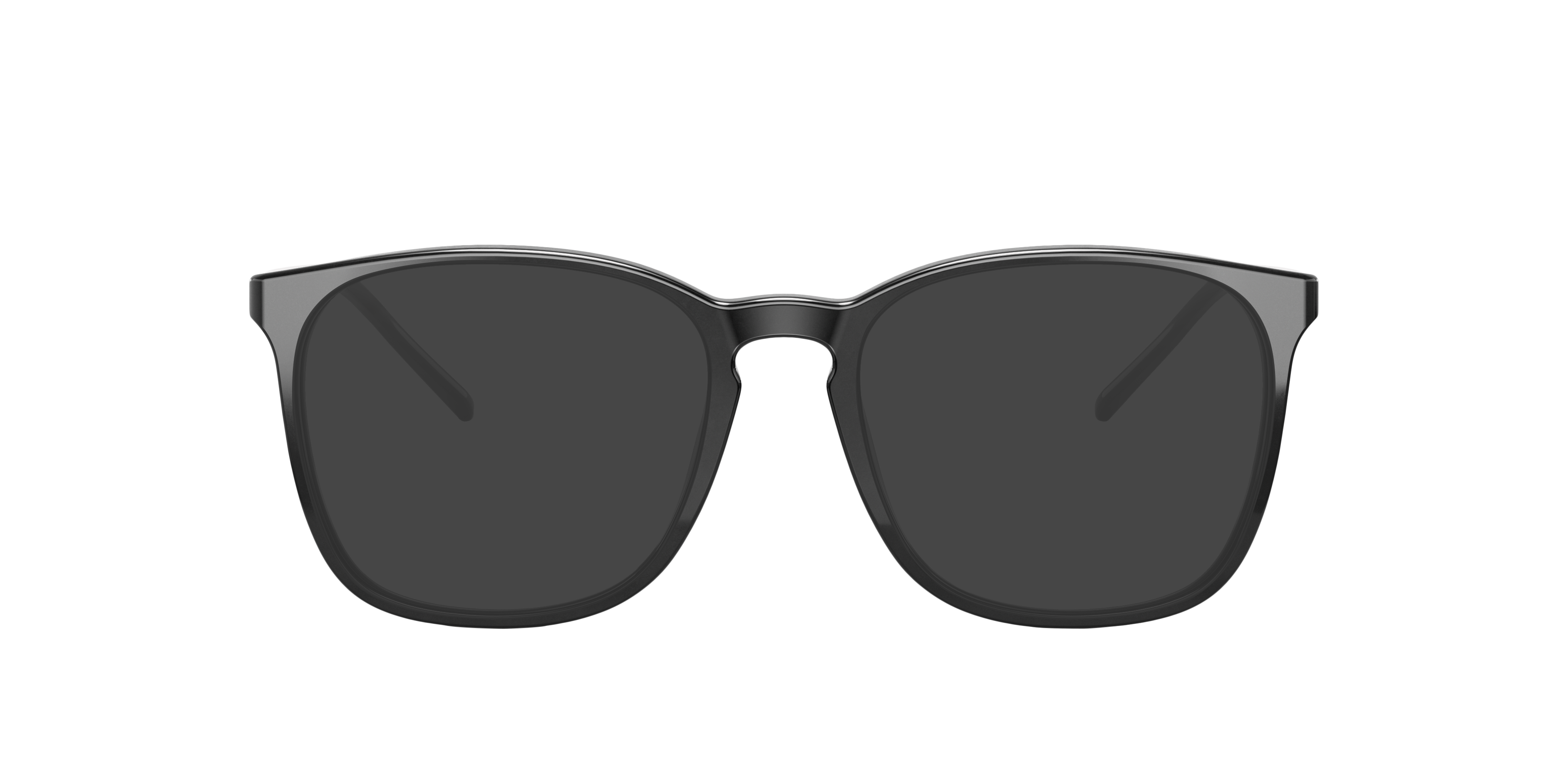 Black RB5387 -  Acetate