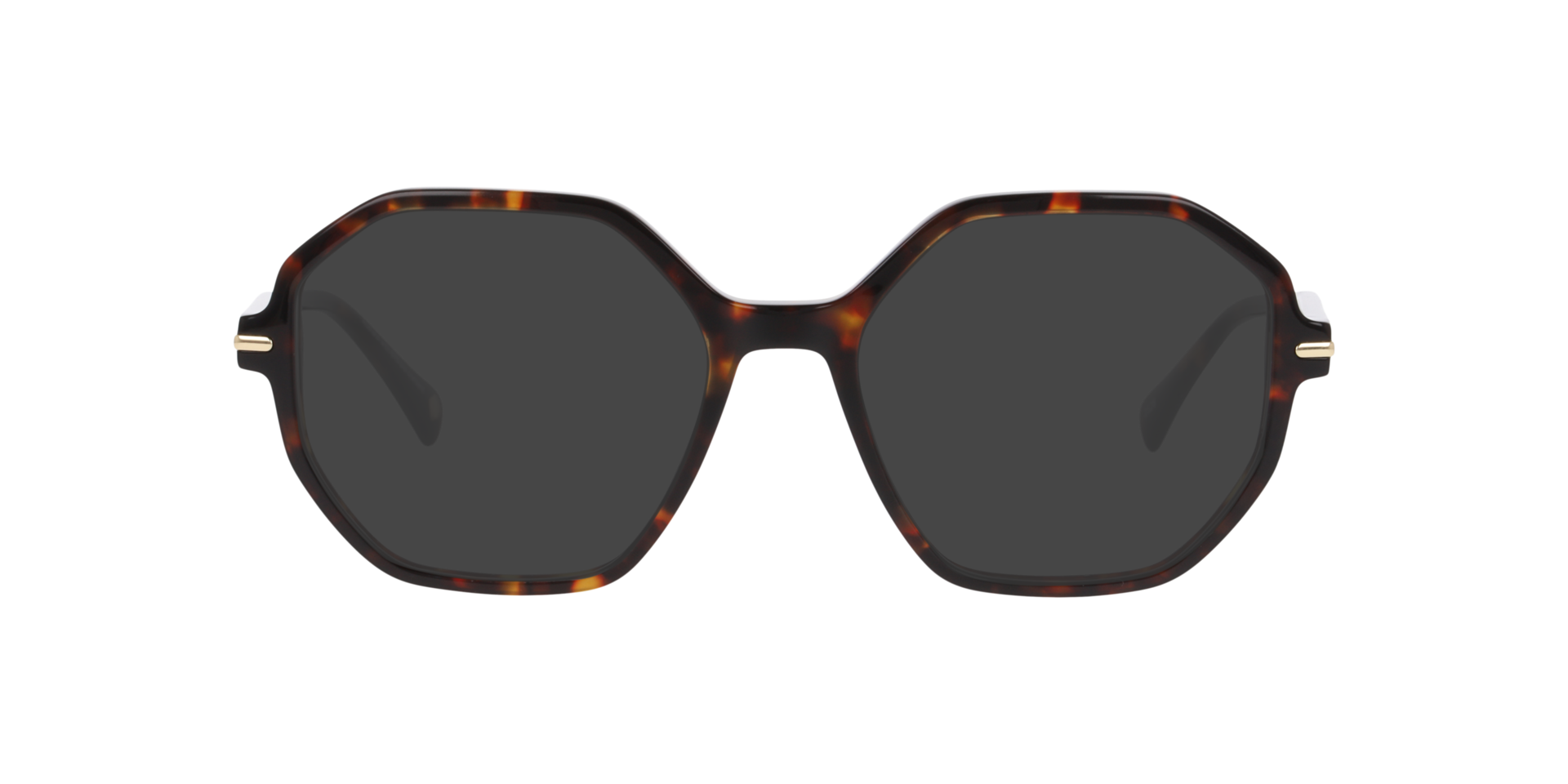 New Barnet Havana Brown AcetateEyeglass Frames for Glasses Direct, with Tinted Lenses
