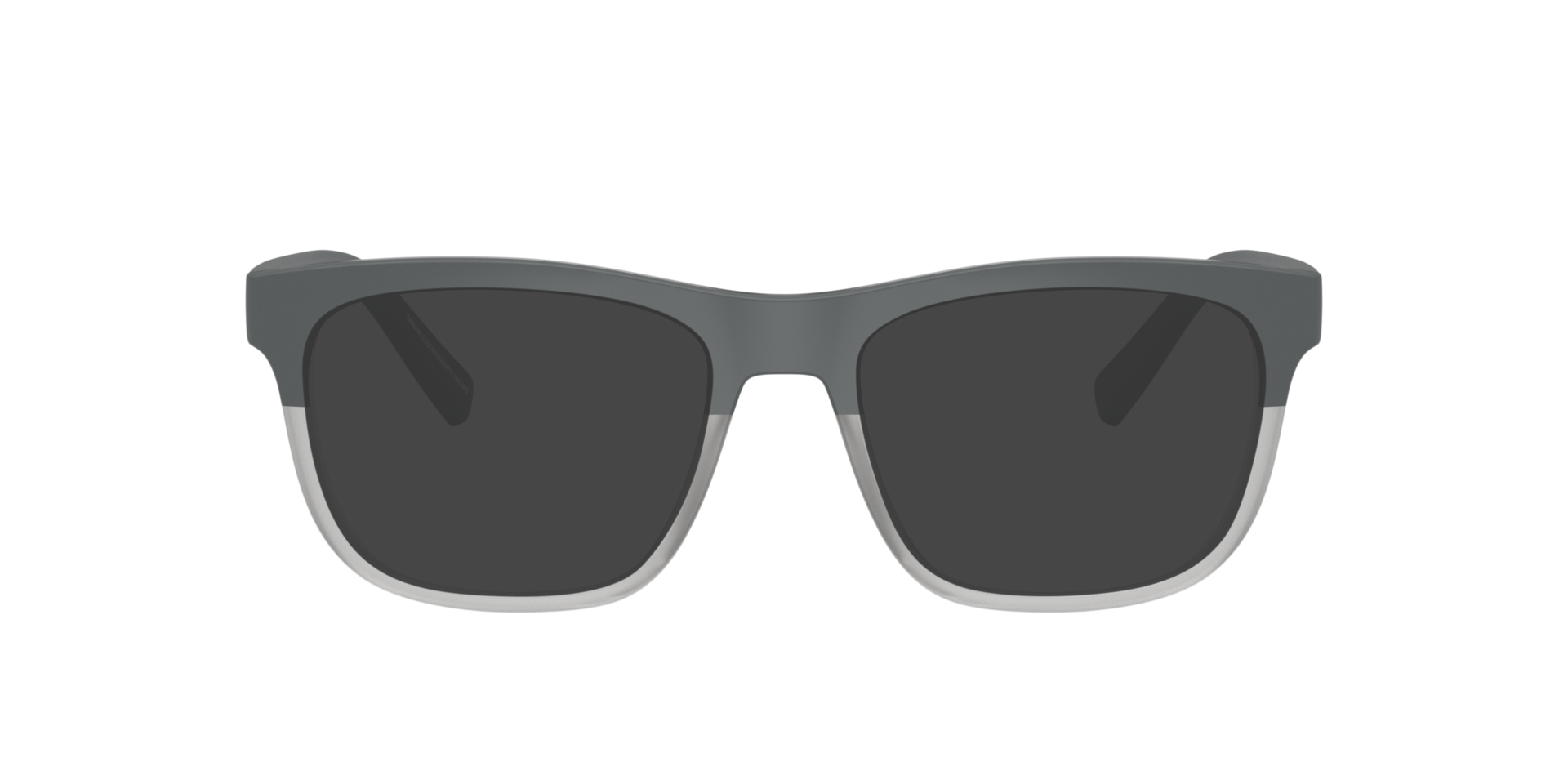 Matte Grey/Transparent Grey AX3050 -  Plastic