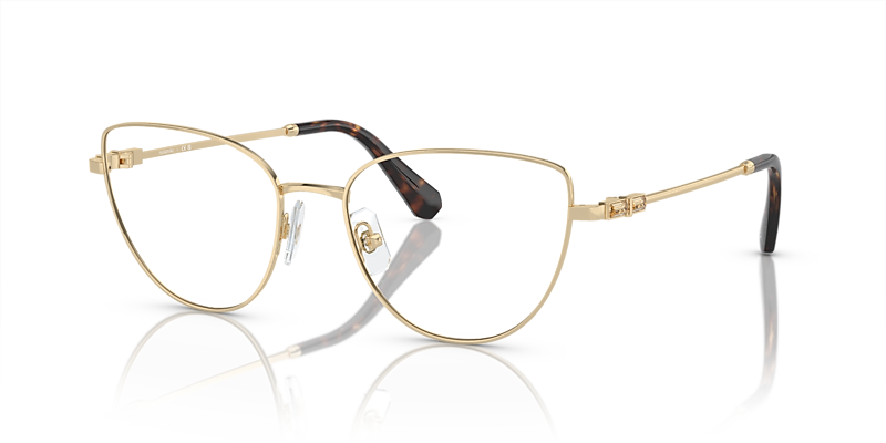 SK1007