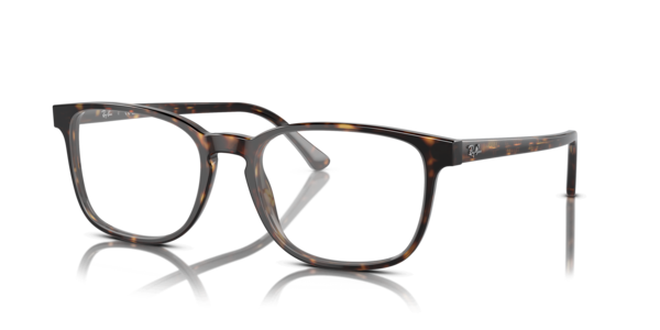 RB5418 Optics