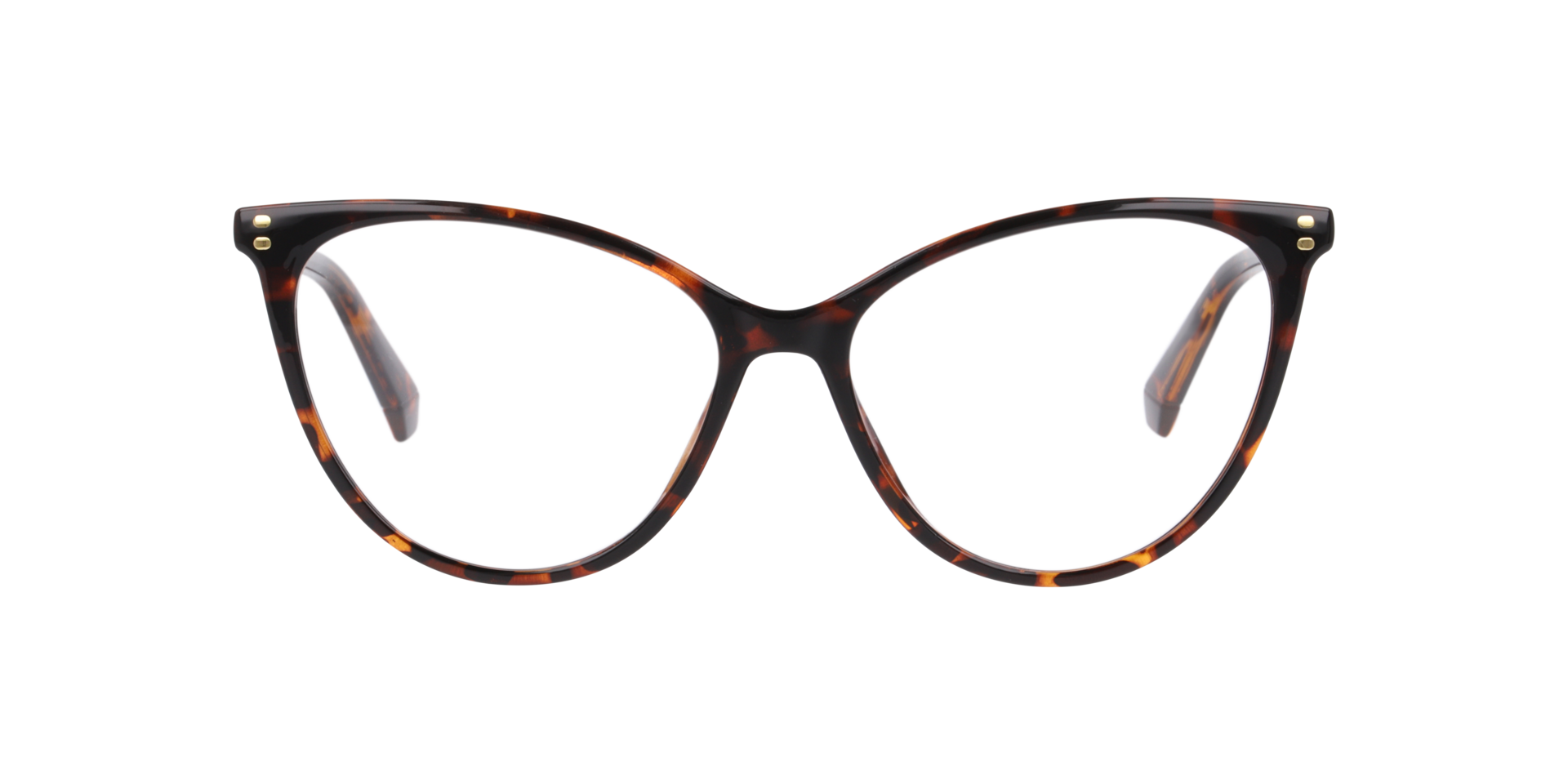 Tortoise PLD D551 -  Plastic