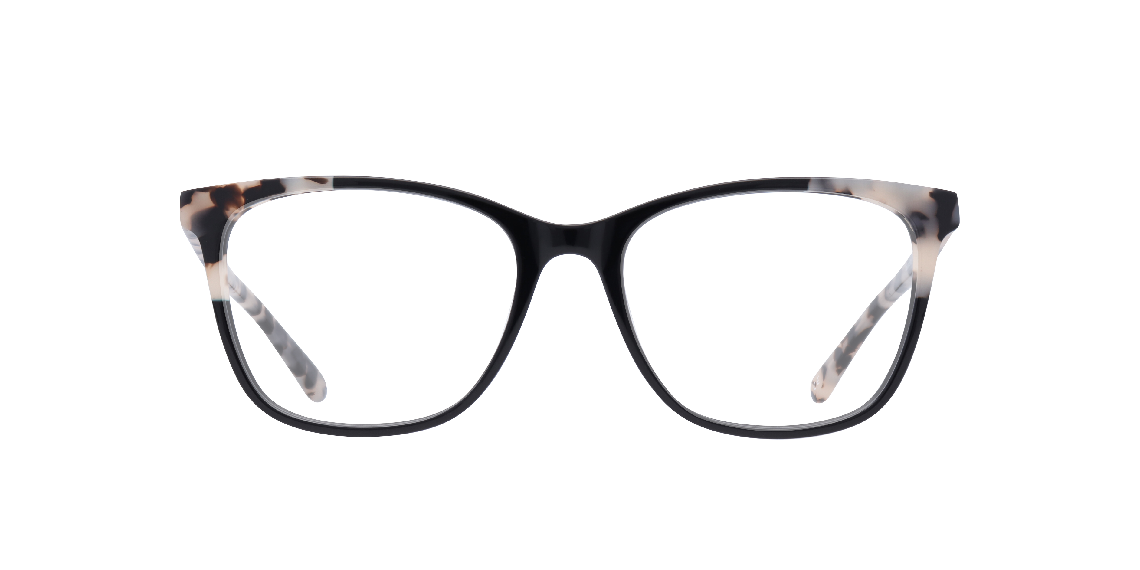 Black/Havana Dakota -  Acetate