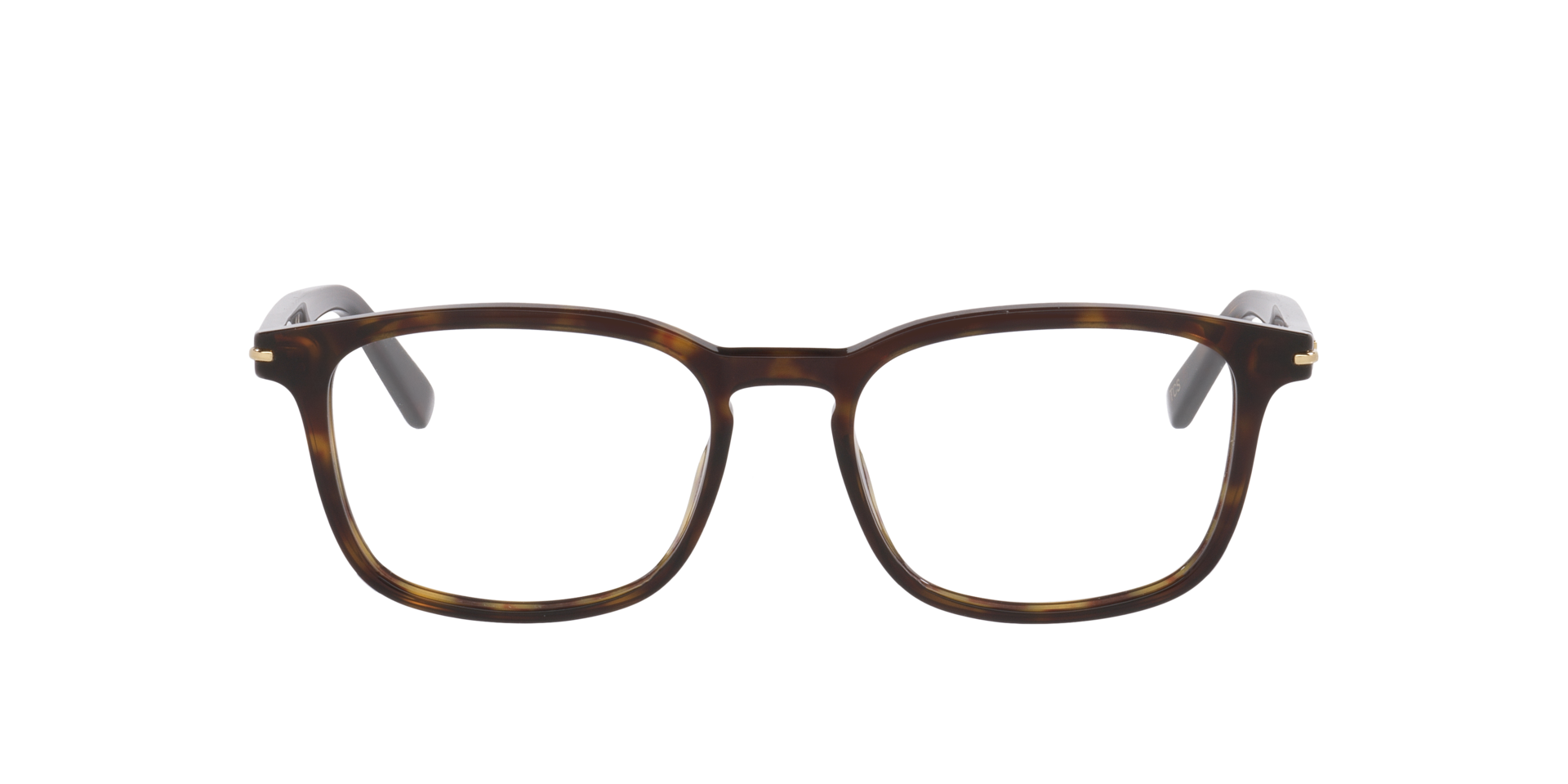 Tortoise Gg2129O -  Acetate