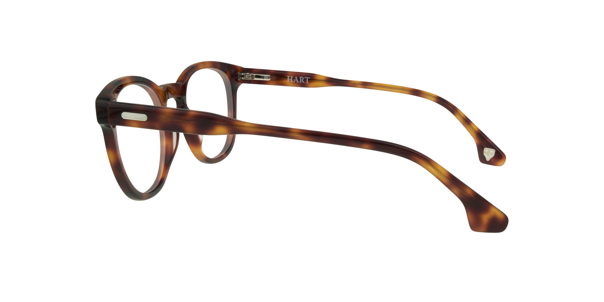 Jeremy Havana AcetateEyeglass Frames for Glasses Direct, Side View