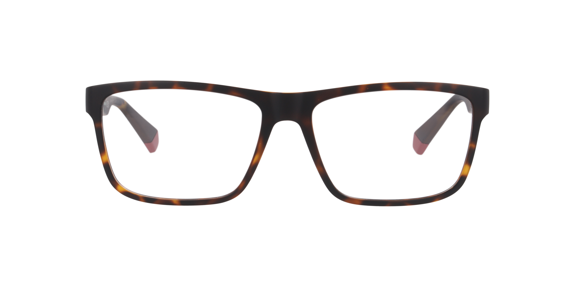 Tortoise PLD D569 -  Plastic