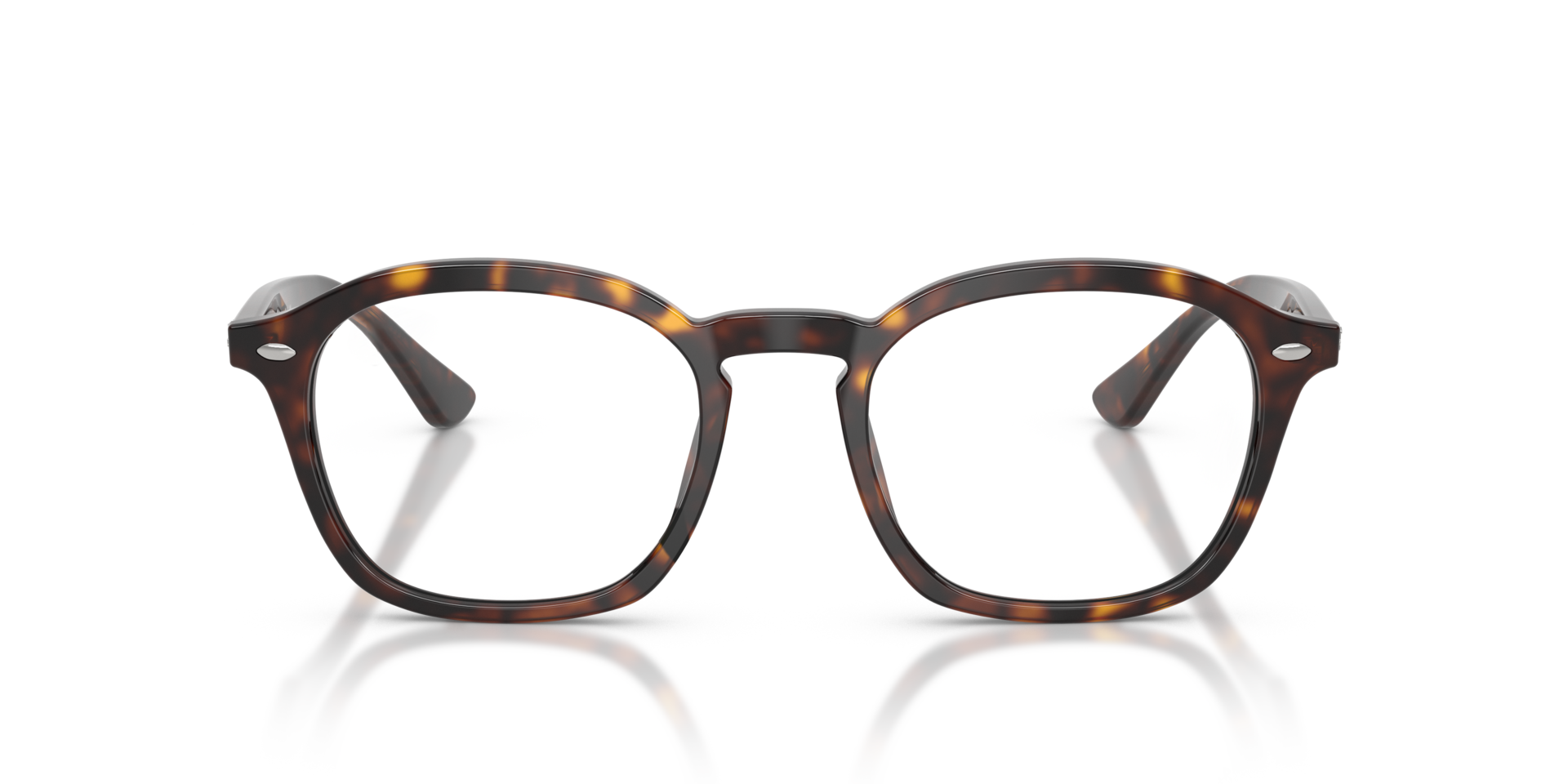 Havana RB5451 Optics -  Acetate