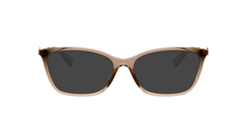 Transparent Brown HC6146U -  Plastic Sunglasses