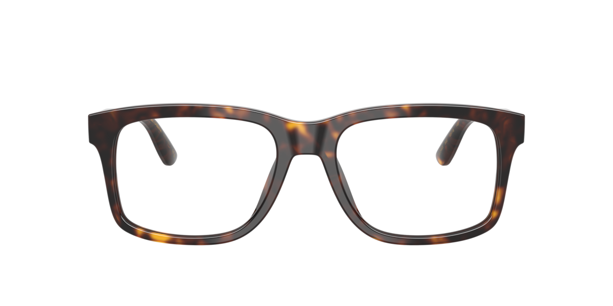 Dolce & Gabbana DG3453 Men's Glasses, Tortoiseshell, Size 53