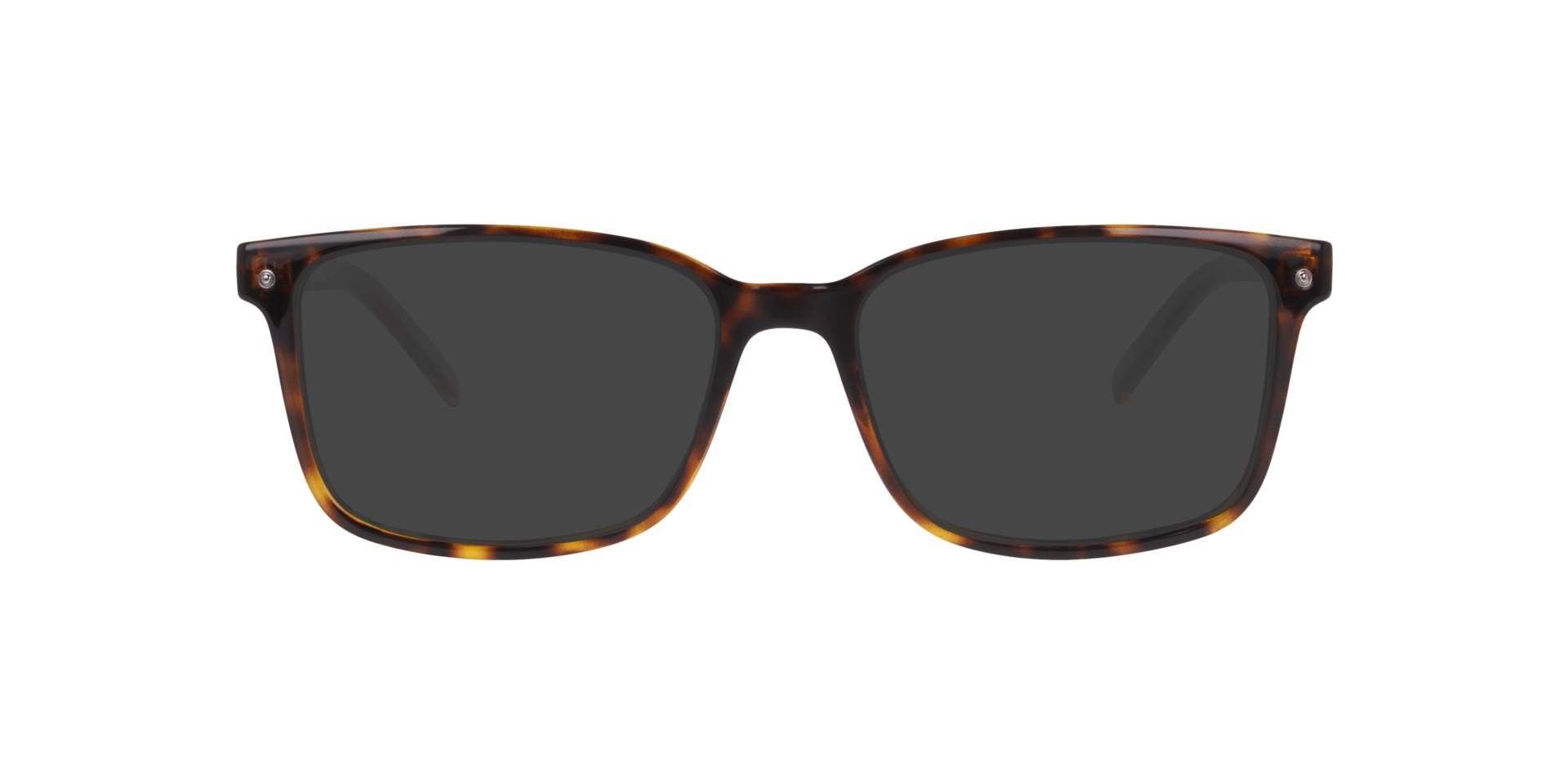 LV 5091 Tortoise PlasticEyeglass Frames for Glasses Direct, with Tinted Lenses