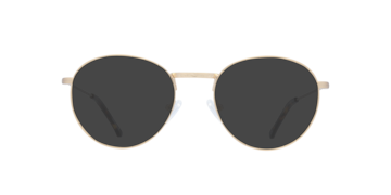 Satin Gold Camden -  Metal Sunglasses