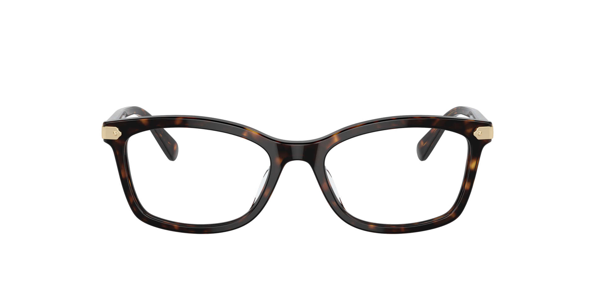 Dark Tortoise HC6219U -  Acetate