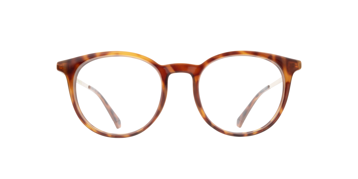 Polaroid Unisex Tortoise Gold Oval Plastic Eyeglasses Online - Full Rim - Pld D496