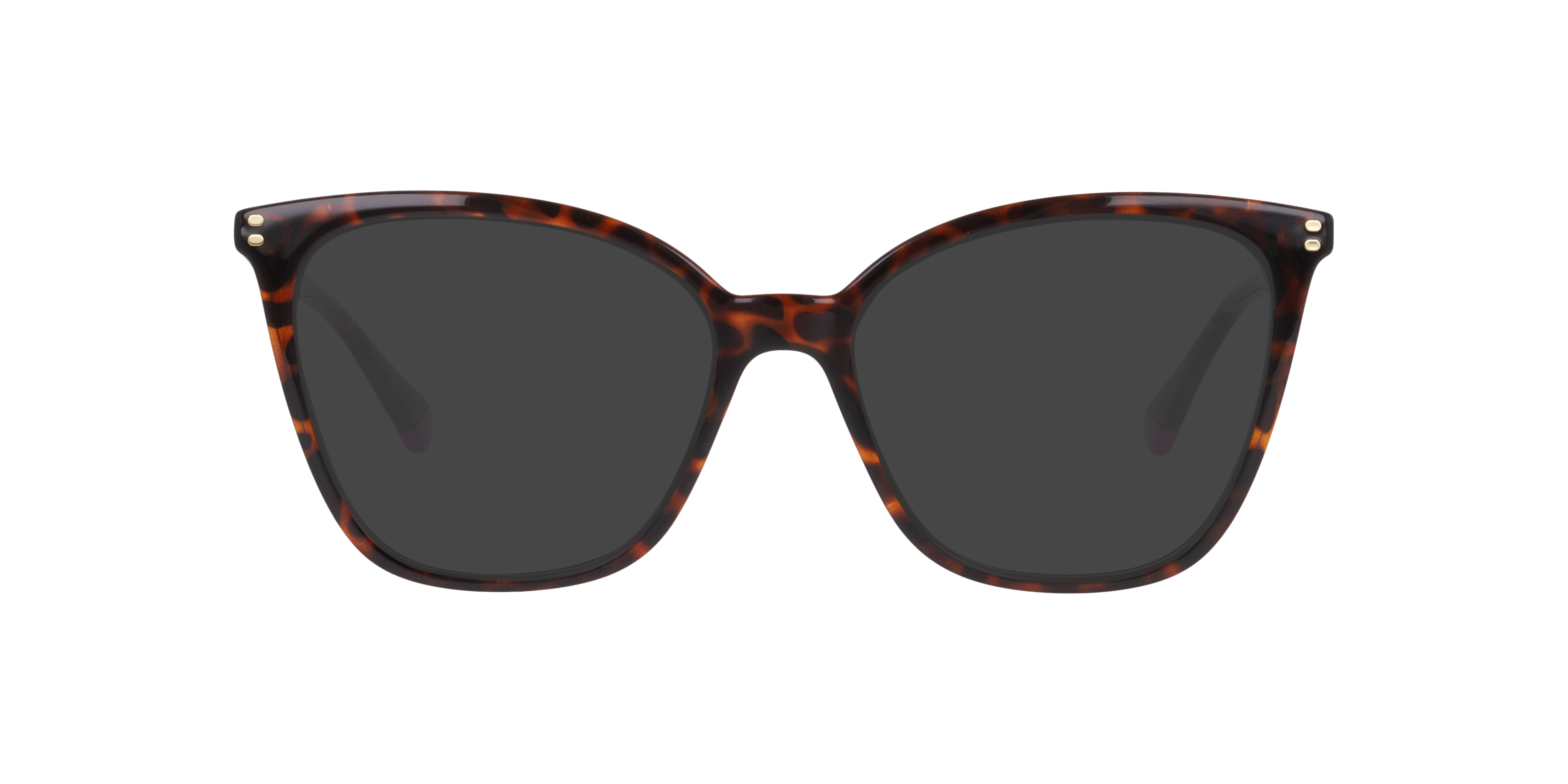 Tortoise PLD D579 -  Plastic