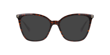 Tortoise PLD D579 -  Plastic Sunglasses
