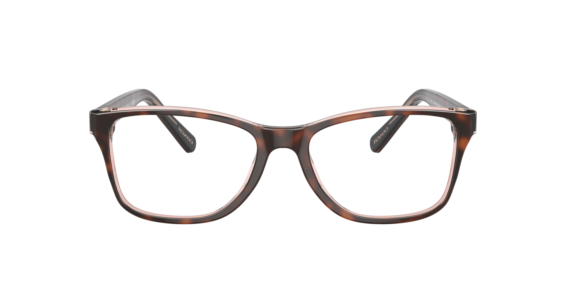 Tortoise On Transparent Pink HC6129 -  Acetate
