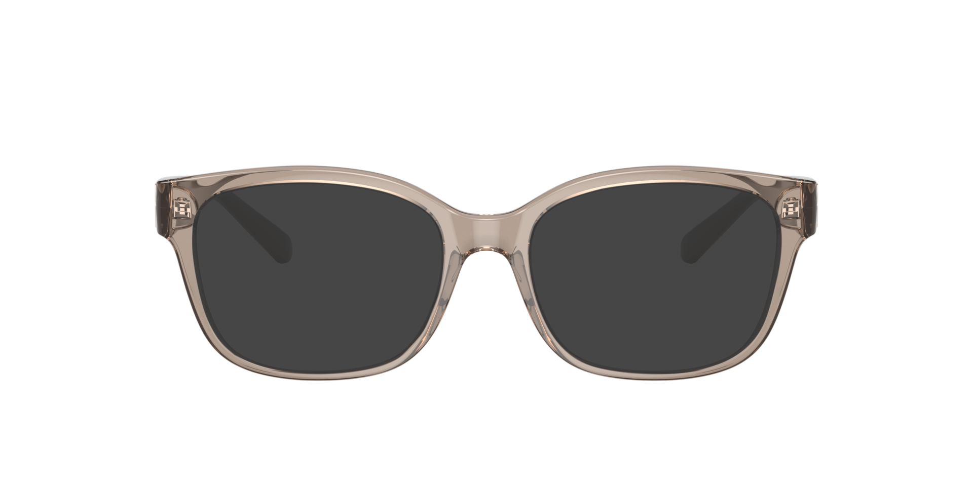 Shiny Transparent Tundra AX3098 -  Plastic