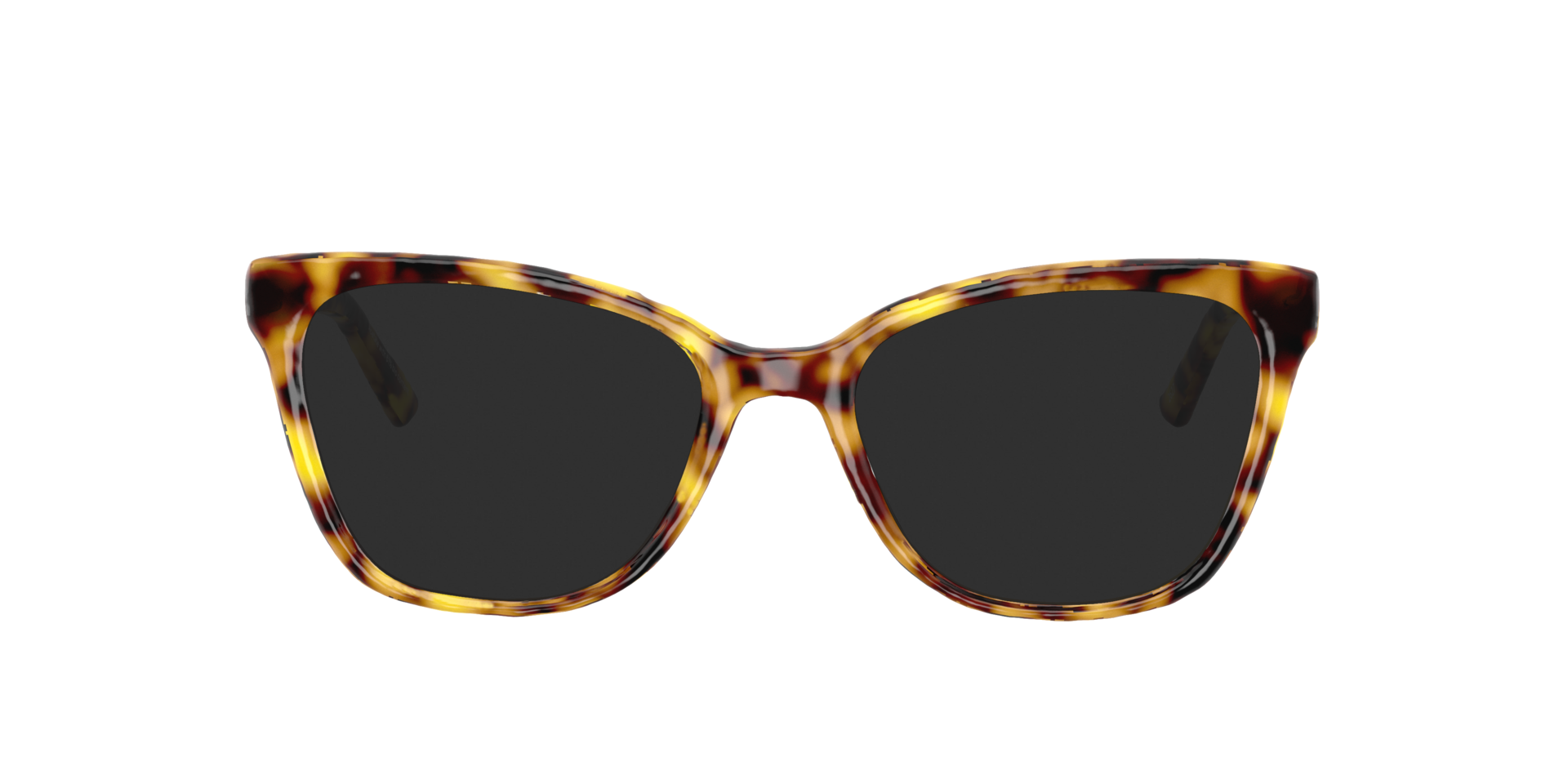 Havana Brown Megan -  Acetate