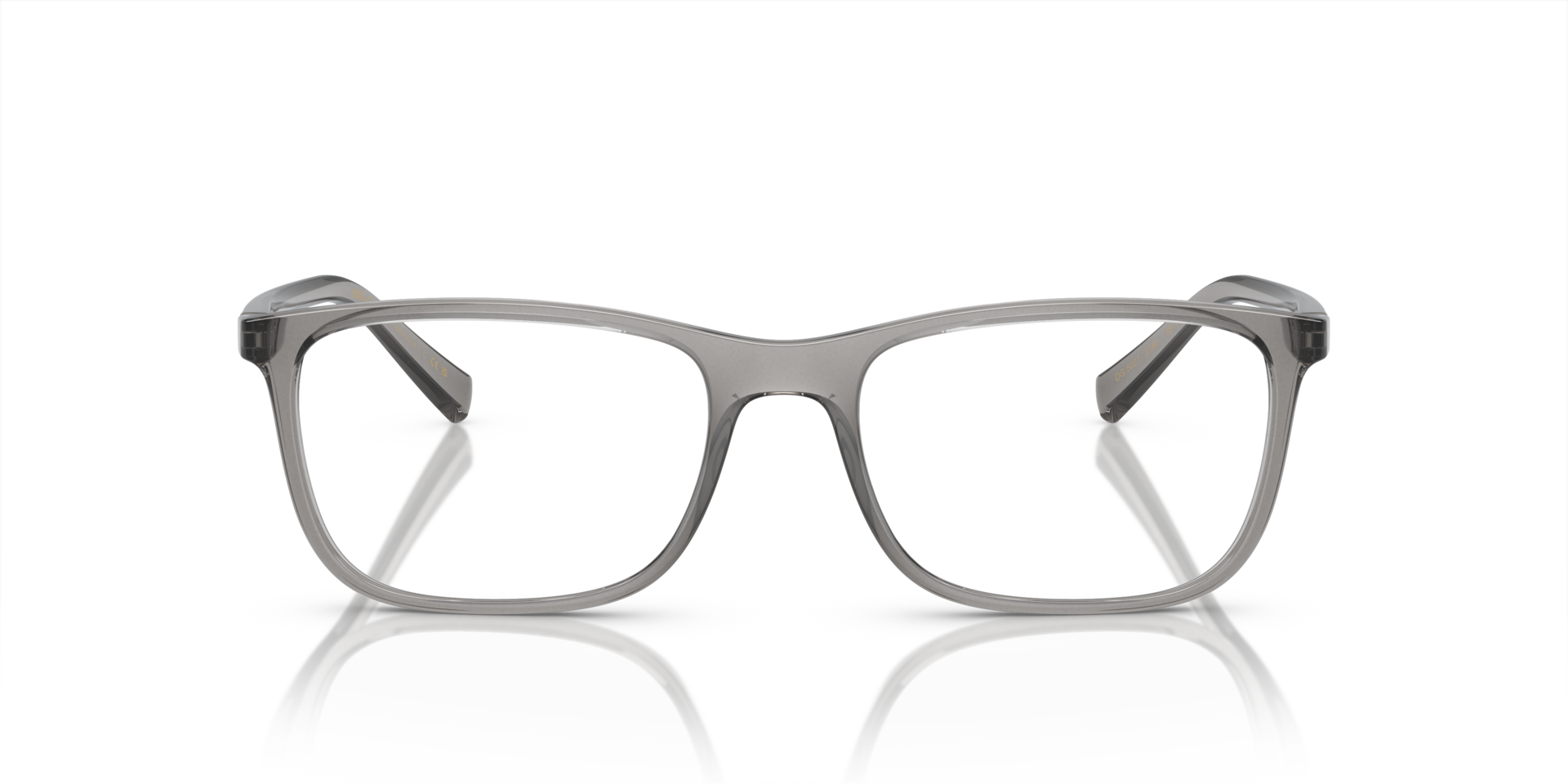 DG5027 Transparent Grey PlasticEyeglass Frames for Glasses Direct, Front View